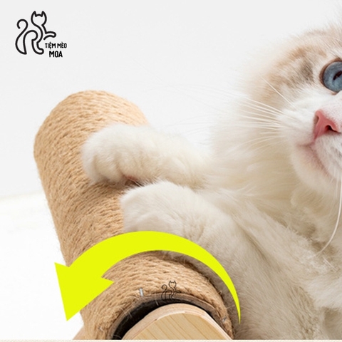 Ghế bãi biển cây dừa - Cào móng Sisal chống xước - Tiệm Mèo Moa