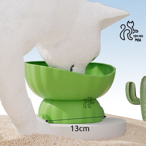 Chén nhựa cây xương rồng - Đế có thể tháo rời - Chén ăn chống gù lưng cho mèo - Tiệm Mèo Moa