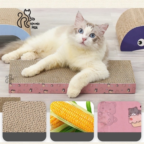 ⚡️TẶNG CATNIP⚡️  Cào móng cho mèo 🐟 - Bàn cào cho mèo - Tiệm Mèo Moa