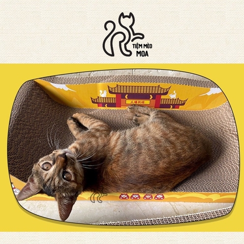 🌿[CÓ SẴN] Cào móng Sofa giường nằm cao cấp - Cào móng cho mèo giảm căng thẳng - Tiệm Mèo Moa