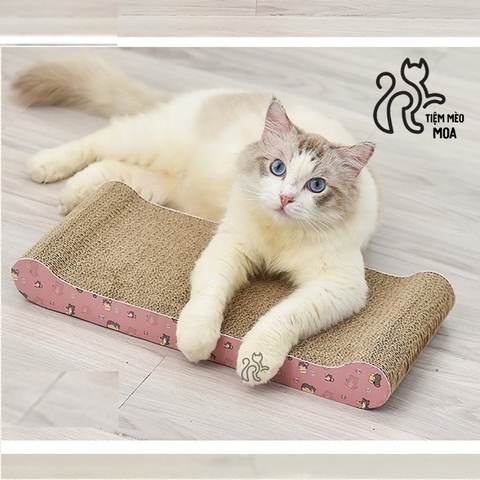 ⚡️TẶNG CATNIP⚡️  Cào móng cho mèo 🐟 - Bàn cào cho mèo - Tiệm Mèo Moa