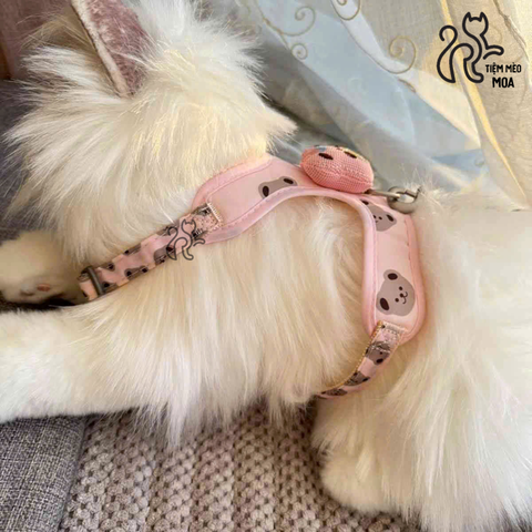 Yếm/ dây dắt gấu nâu cho thú cưng - Tiệm Mèo Moa