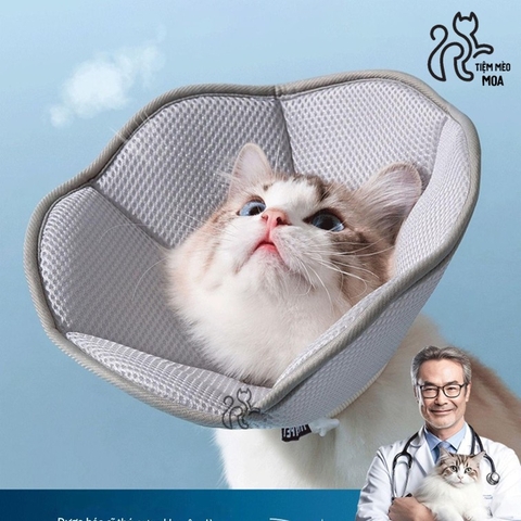 Vòng cổ chống liếm hình cánh hoa xám xốp nhẹ, thoáng khí cho thú cưng - Tiệm Mèo Moa