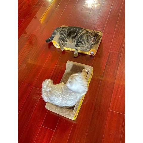 🌿[CÓ SẴN] Cào móng Sofa giường nằm cao cấp - Cào móng cho mèo giảm căng thẳng - Tiệm Mèo Moa