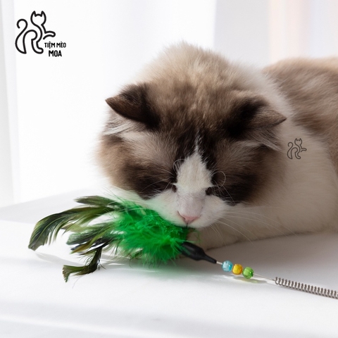 Câu mèo lò xo 2 chuông - Tiệm Mèo Moa