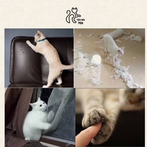 ⚡️TẶNG CATNIP⚡️  Cào móng cho mèo 🐟 - Bàn cào cho mèo - Tiệm Mèo Moa