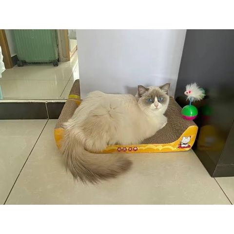 🌿[CÓ SẴN] Cào móng Sofa giường nằm cao cấp - Cào móng cho mèo giảm căng thẳng - Tiệm Mèo Moa