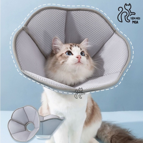 Vòng cổ chống liếm hình cánh hoa xám xốp nhẹ, thoáng khí cho thú cưng - Tiệm Mèo Moa