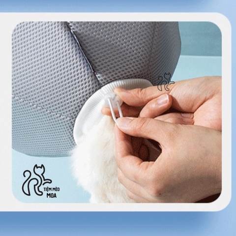 Vòng cổ chống liếm hình cánh hoa xám xốp nhẹ, thoáng khí cho thú cưng - Tiệm Mèo Moa