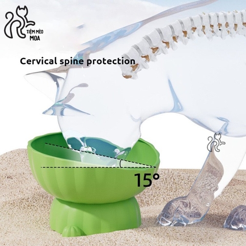 Chén nhựa cây xương rồng - Đế có thể tháo rời - Chén ăn chống gù lưng cho mèo - Tiệm Mèo Moa