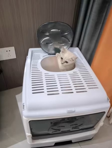 Nhà vệ sinh kín cho mèo - Phụ kiện cho mèo - Tiệm Mèo Moa