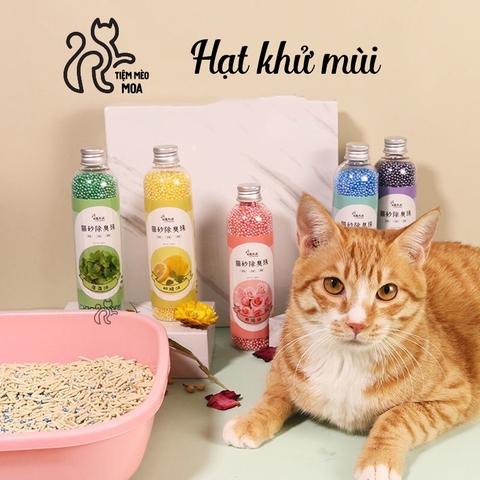 Hạt khử mùi cát vệ sinh mèo - 5 mùi - Tiệm Mèo Moa