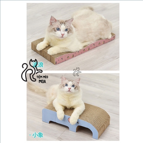 ⚡️TẶNG CATNIP⚡️  Cào móng cho mèo 🐟 - Bàn cào cho mèo - Tiệm Mèo Moa
