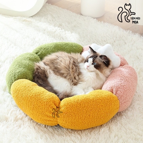 🐾 Ổ nằm thú cưng hình mây - Tiệm Mèo Moa
