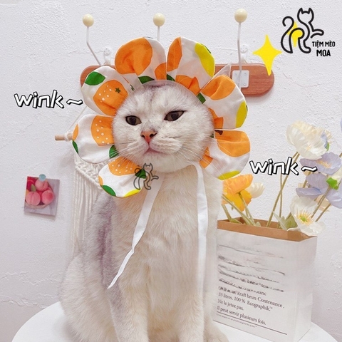 🌼  Vòng Cổ Hoa Nở Cute – Phụ Kiện Chụp Ảnh Siêu Xinh Cho Thú Cưng - Tiệm Mèo Moa
