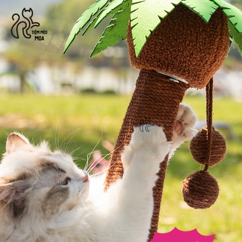 Cattree cây dừa mùa hè có võng - Tiệm Mèo Moa
