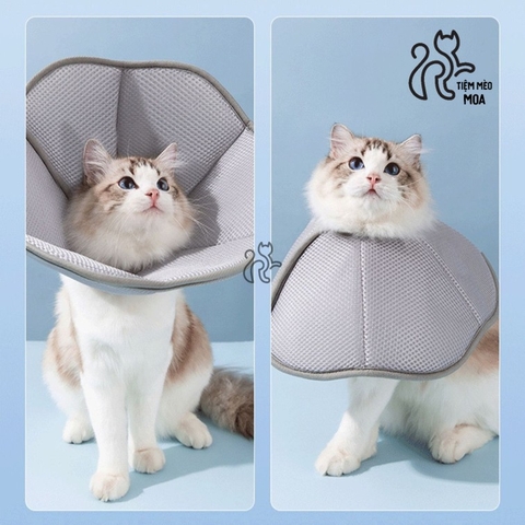 Vòng cổ chống liếm hình cánh hoa xám xốp nhẹ, thoáng khí cho thú cưng - Tiệm Mèo Moa