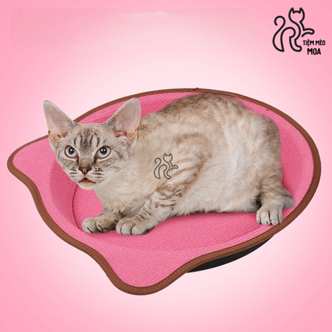 Tổ nhung ổ nằm - Đồ chơi cào móng cho mèo - Tiệm Mèo Moa