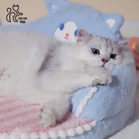 Nệm nằm size King cho mèo - Tiệm Mèo Moa