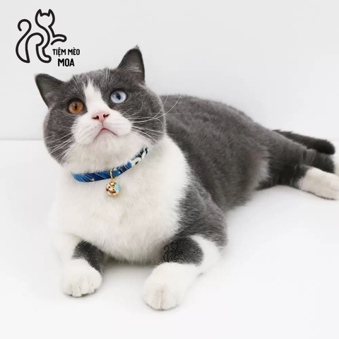 Vòng cổ phong cách Nhật Bản dễ thương cho mèo - Tiệm Mèo Moa