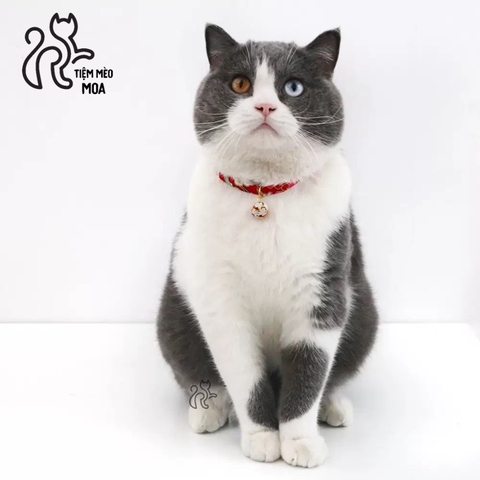 Vòng cổ phong cách Nhật Bản dễ thương cho mèo - Tiệm Mèo Moa