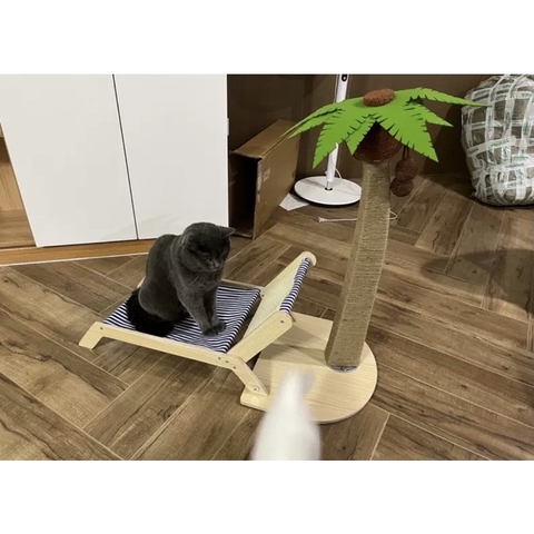 Ghế bãi biển cây dừa - Cào móng Sisal chống xước - Tiệm Mèo Moa