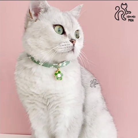 Vòng cổ xinh xắn cho mèo - Tiệm Mèo Moa