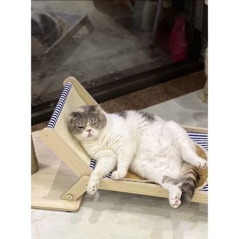 Ghế bãi biển cây dừa - Cào móng Sisal chống xước - Tiệm Mèo Moa