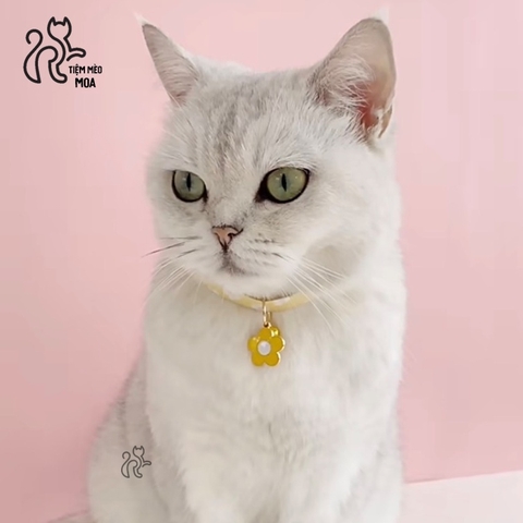 Vòng cổ xinh xắn cho mèo - Tiệm Mèo Moa