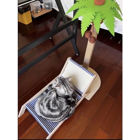 Ghế bãi biển cây dừa - Cào móng Sisal chống xước - Tiệm Mèo Moa