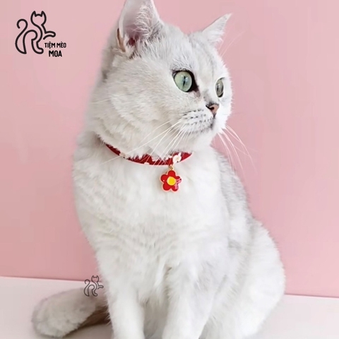 Vòng cổ xinh xắn cho mèo - Tiệm Mèo Moa