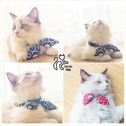Yếm cho mèo - Tiệm Mèo Moa