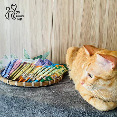 Set 100 cây súp thưởng nội địa 15gram nhiều loại - Snack cho mèo - Tiệm Mèo Moa