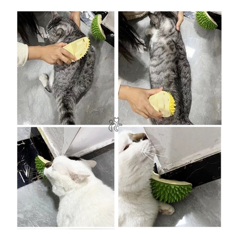 Sầu riêng chải lông/ cạ massage cho mèo - Đồ chơi cho mèo - Tiệm Mèo Moa