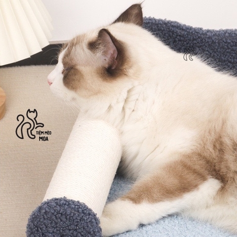 Ghế sofa/ giường nằm sisal chống xước - Bàn cào cho mèo - Tiệm Mèo Moa