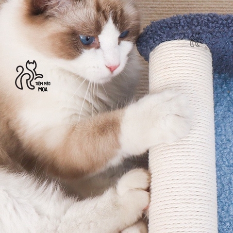 Ghế sofa/ giường nằm sisal chống xước - Bàn cào cho mèo - Tiệm Mèo Moa