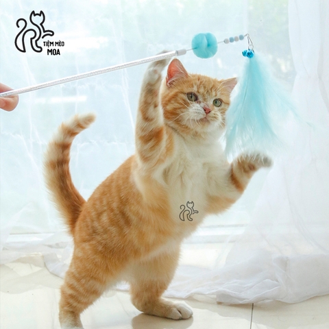 Set câu mèo 3 món dễ thương - Tiệm Mèo Moa