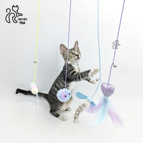 Câu mèo dán tường - Đồ chơi cho mèo - Tiệm Mèo Moa
