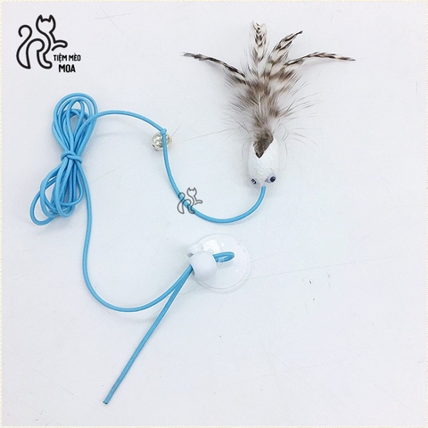 Câu mèo dán tường - Đồ chơi cho mèo - Tiệm Mèo Moa