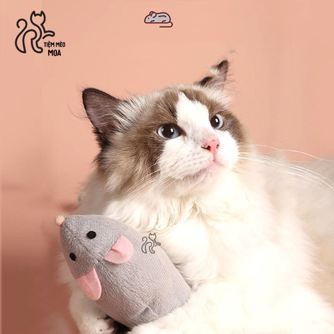 Chuột bông catnip SIÊU MẬP cho mèo - Tiệm Mèo Moa