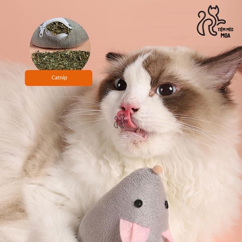 Chuột bông catnip SIÊU MẬP cho mèo - Tiệm Mèo Moa