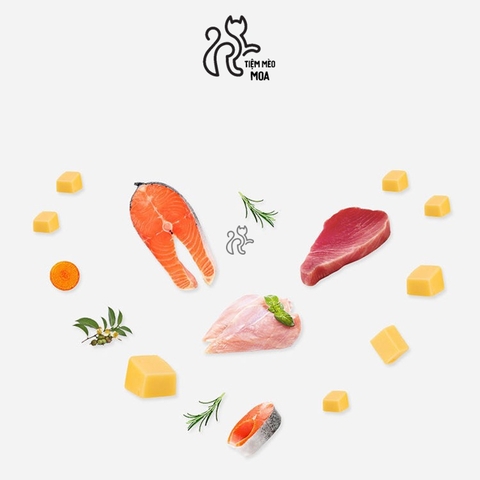 Súp thưởng Tiaopi cho mèo 15gram - Tiệm Mèo Moa