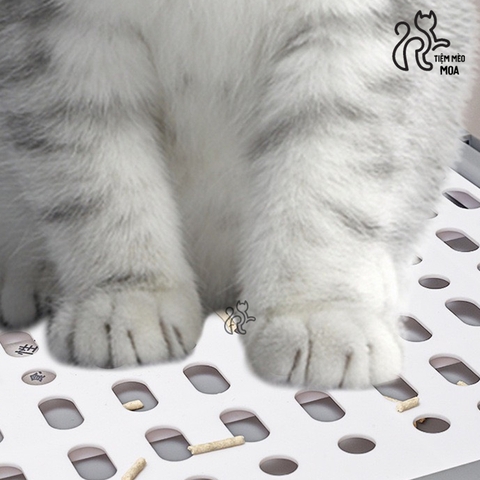 Nhà vệ sinh cao cấp 2 cửa chống văng cát, có ngăn kéo size lớn cho mèo - Tiệm Mèo Moa