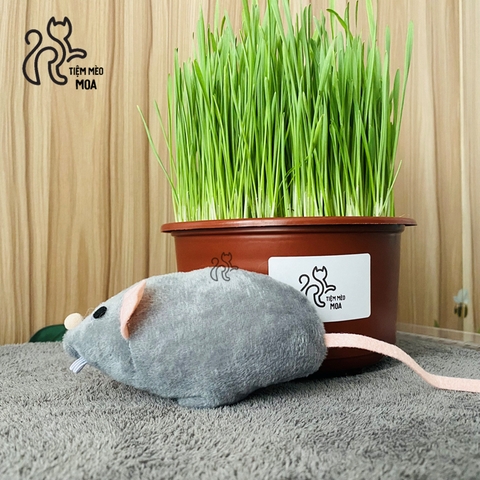 Chuột bông catnip SIÊU MẬP cho mèo - Tiệm Mèo Moa