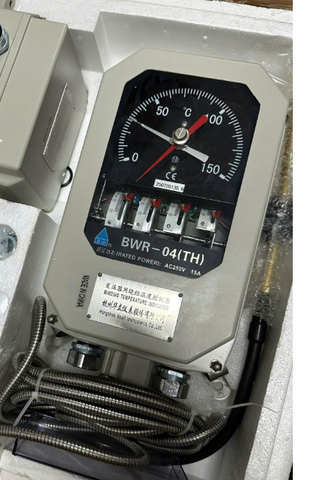 Đồng Hồ Nhiệt Độ Máy Biến Áp BWR-04(TH)