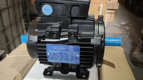 Động cơ AC 380V, hãng rotomotive
