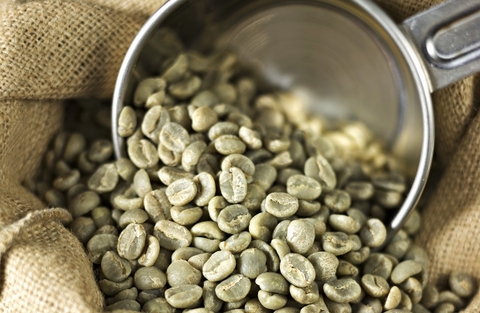 Cafe nhân xanh giá sỉ