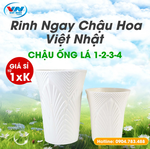 chau-nhua-ong-la