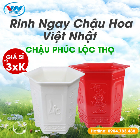 chau-hoa-phuc-loc-tho