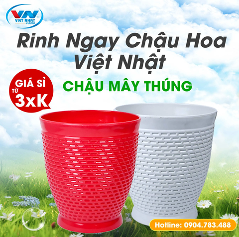 chau-hoa-nhua-may-thung